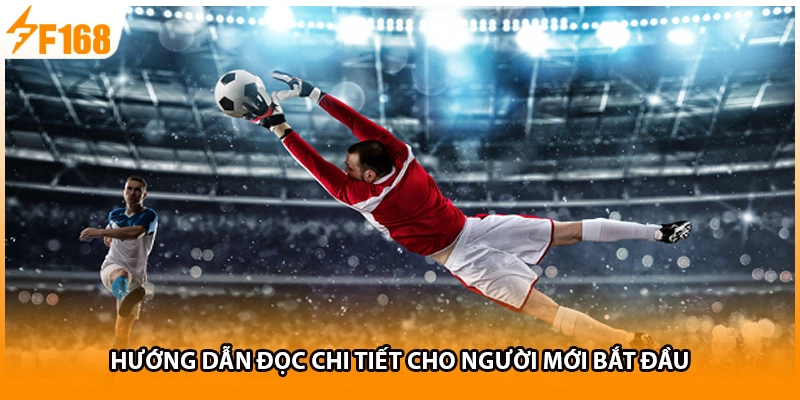 Hướng dẫn đọc chi tiết cho người mới bắt đầu