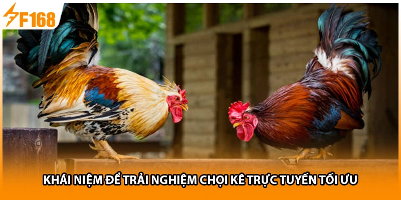 Khái niệm để trải nghiệm chọi kê trực tuyến tối ưu