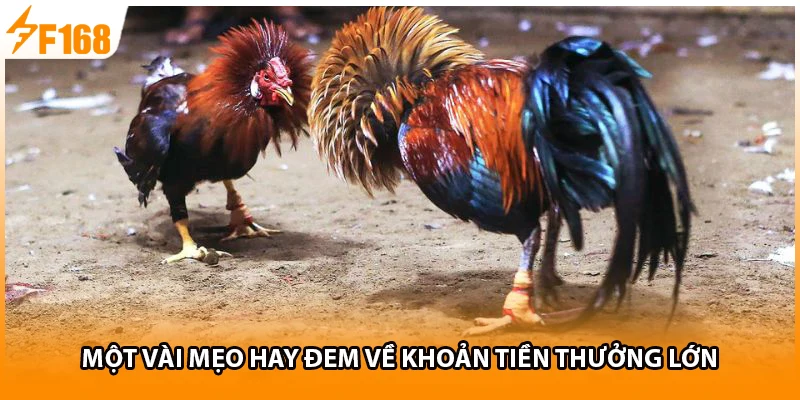 Một vài mẹo hay đem về khoản tiền thưởng lớn
